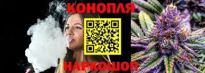 шишки Партизанск