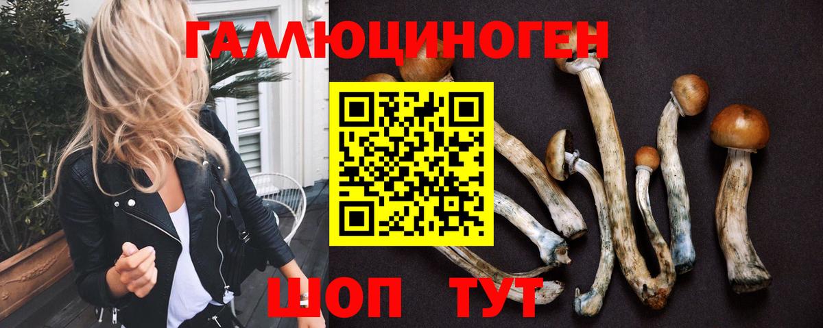 Галлюциногенные грибы Cubensis Тихорецк