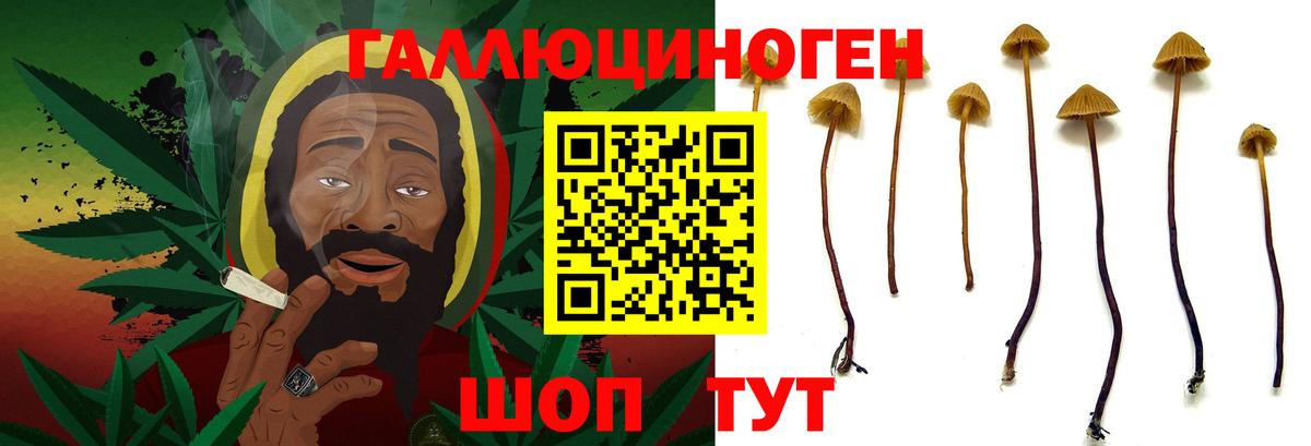 Галлюциногенные грибы Psilocybine cubensis  Галлюциногенные грибы мицелий  закладки  Тихорецк  Вход с VPN 